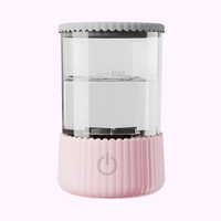 Nettoyeur de pinceaux professionnel